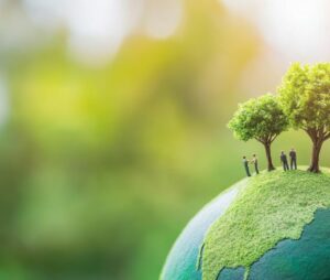 Zielony ład i ochrona środowiska - jakie obowiązki podatkowe czekają firmy z branży produkcyjnej?